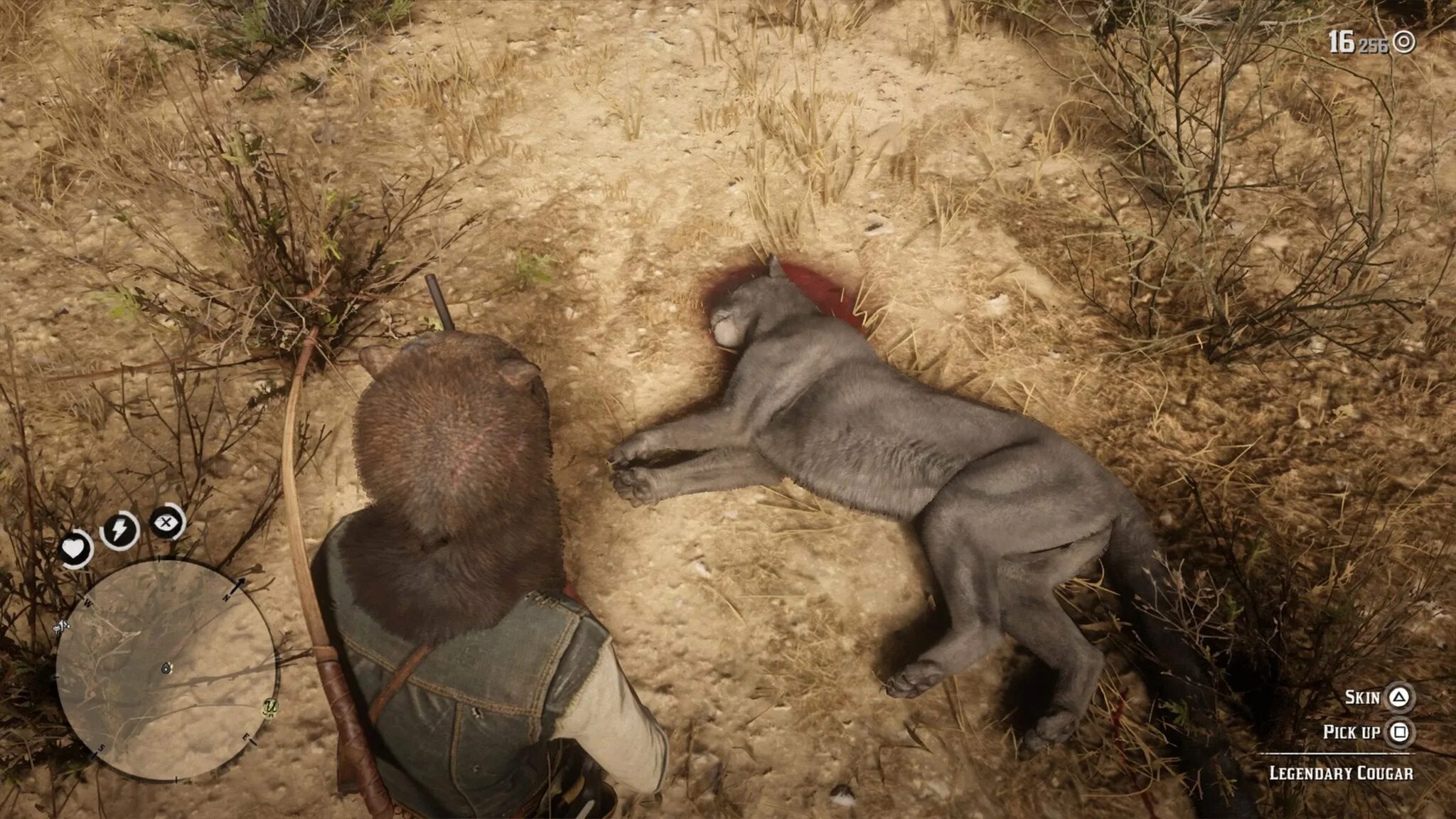 Rdr пума. Rdr 2 пума. легендарная пума rdr 2. легендарные животные в rdr 2. red dead redemption 2 легендарные.