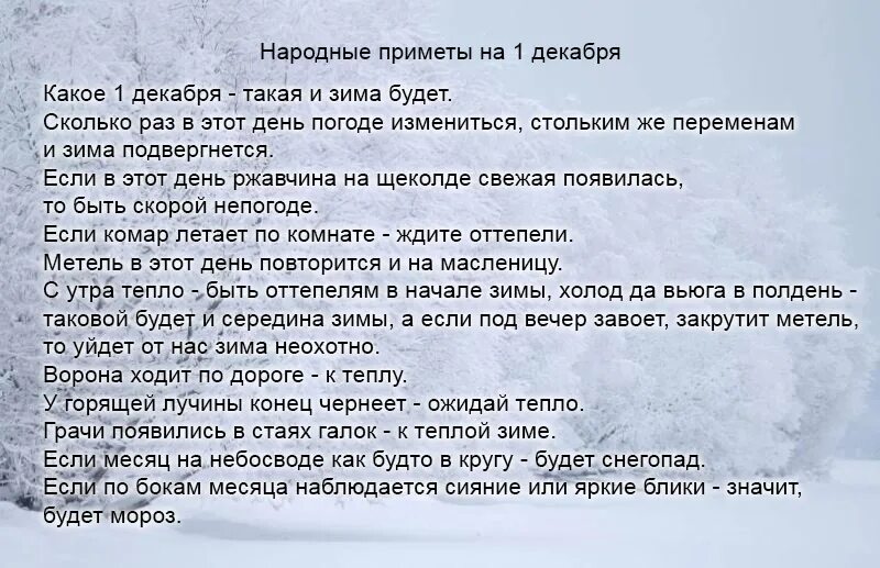 Погода декабрь приметы. Приметы декабря. Декабрь первый месяц зимы. Снег на 1 мая приметы.