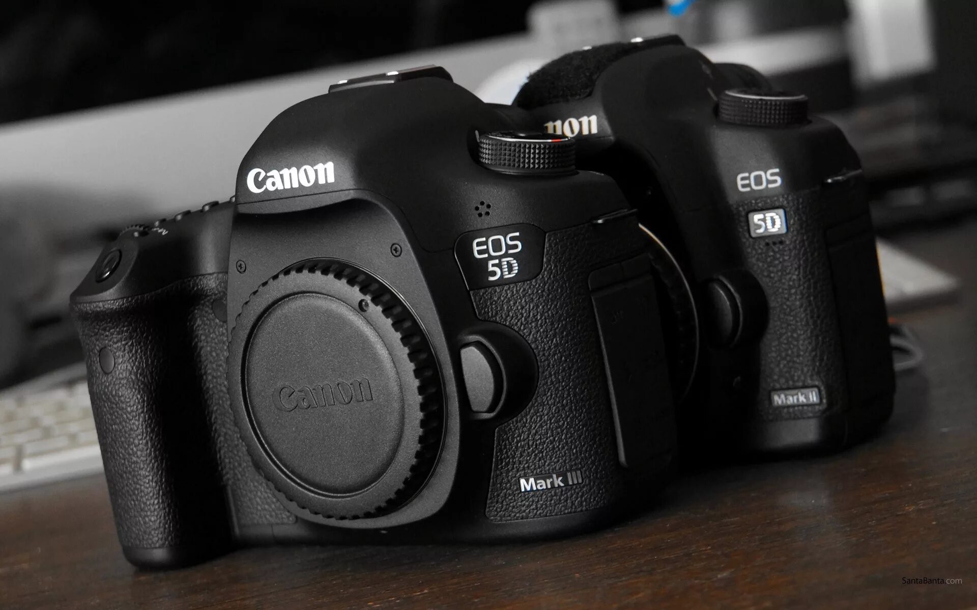 6d mark купить. Canon 5d Mark II.