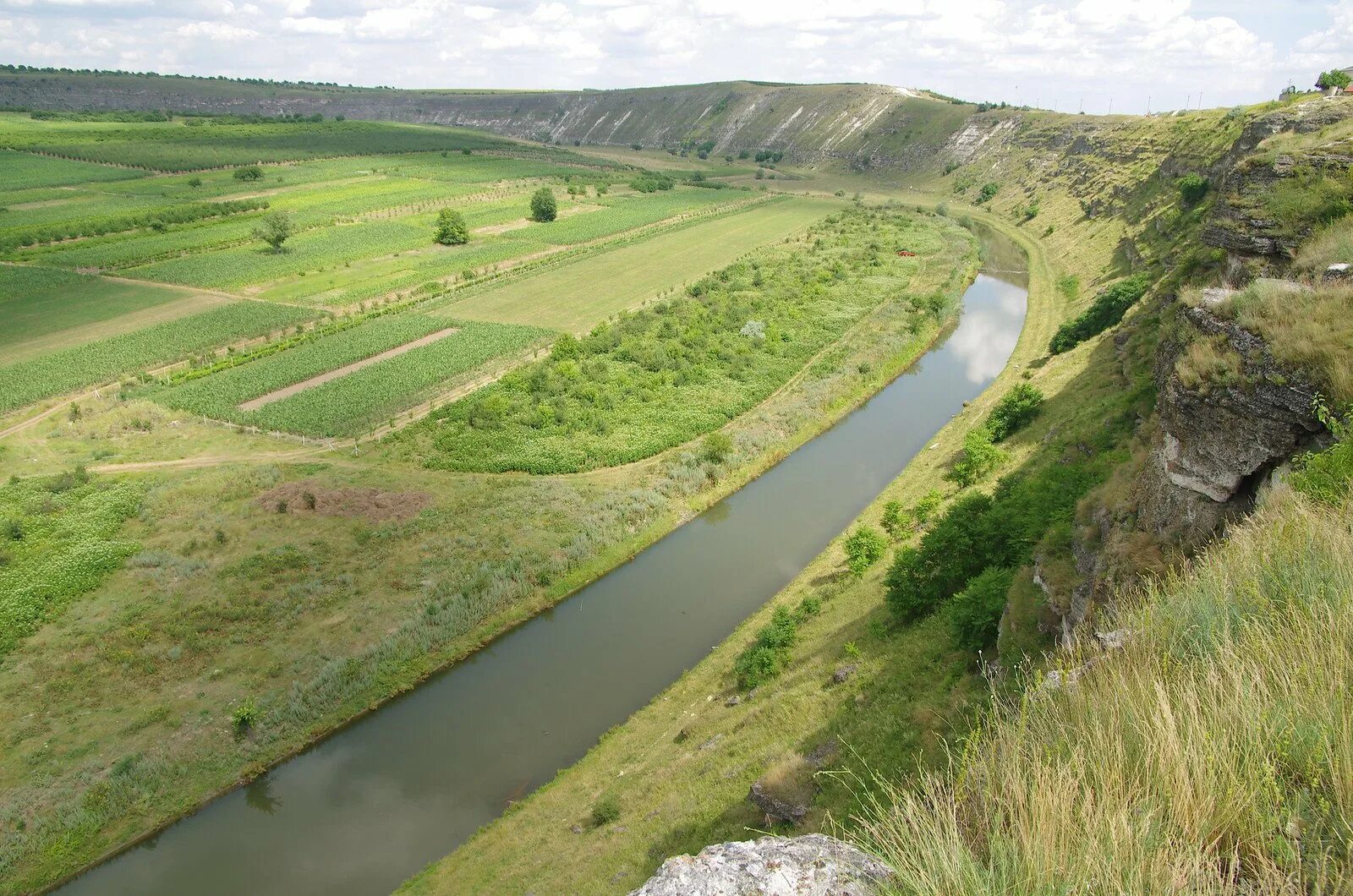 Плай молдова. Реут река в Молдавии. Реут (река). Молдавия река Днестр. Днестр с притоком Реут.