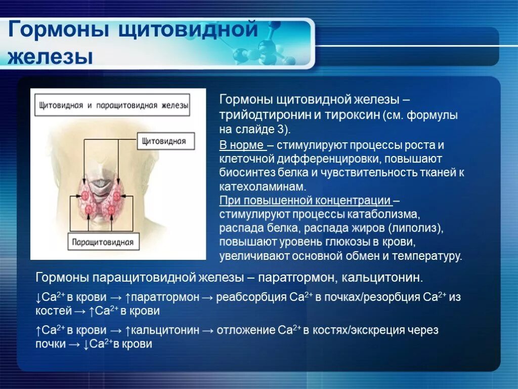 Гормон роста и гормоны щитовидной. Щитовидная железа гормоны щитовидной железы. Гормоны щитовидной железы тироксин и трийодтиронин. Гормональная щитовидка железа.