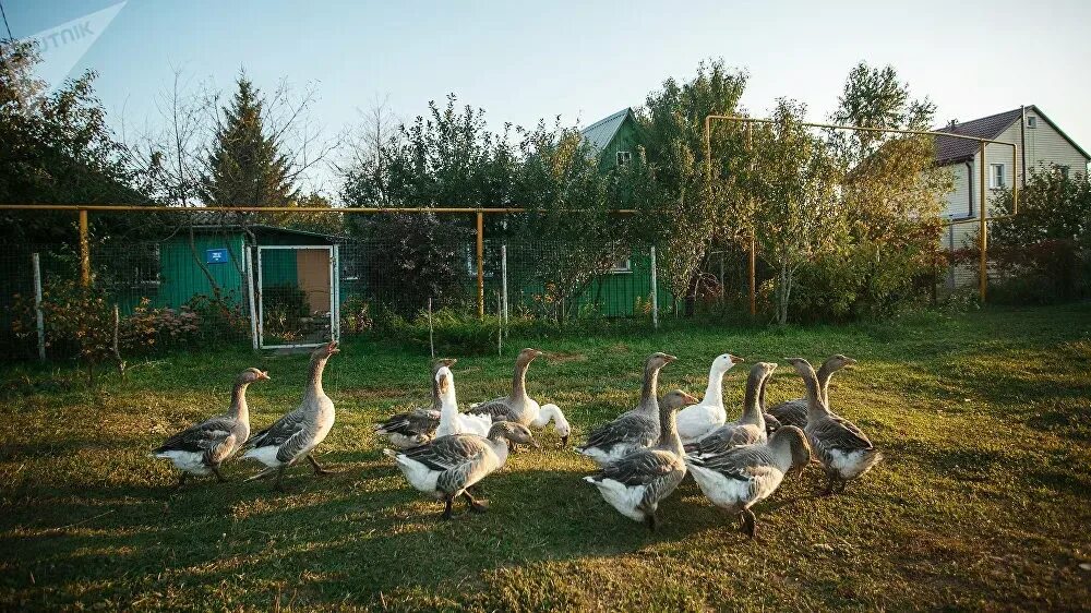 Архангельское Тульская область Каменский район. Село Архангельское. Село Архангельское Тульская область Ленинский район. Село Архангельское Тульская область Ленинский район жители. Погода в селе архангельском на неделю