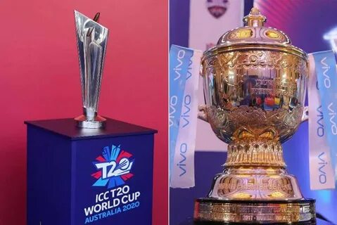 T20 world cup