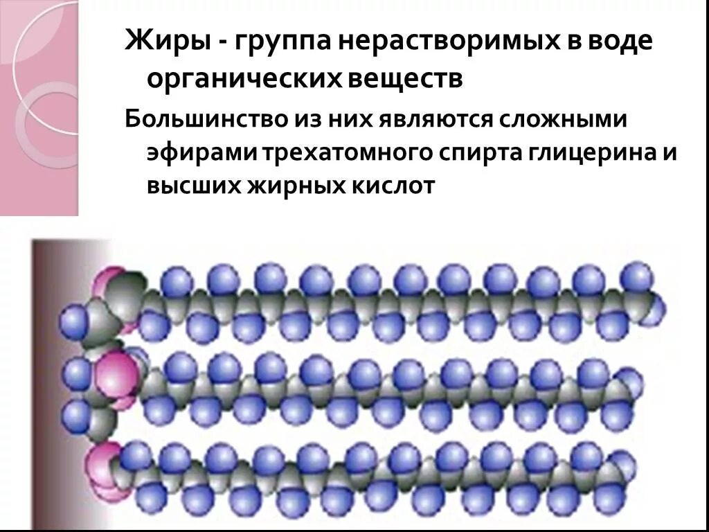 Функции нерастворимых веществ. Органические вещества клетки. органические вещества клетки жиры. органические вещества клетки 10 класс. органические вещества клетки белки жиры углеводы.