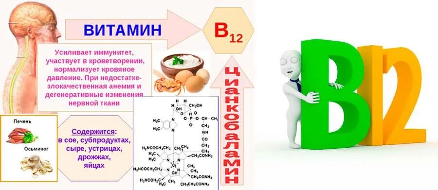 Для чего нужен b6. Роль витамина b12 в организме человека. Витамин b12 функции в организме. Витамин в12 синтезируется в организме. Функции витамина в12 в организме человека.