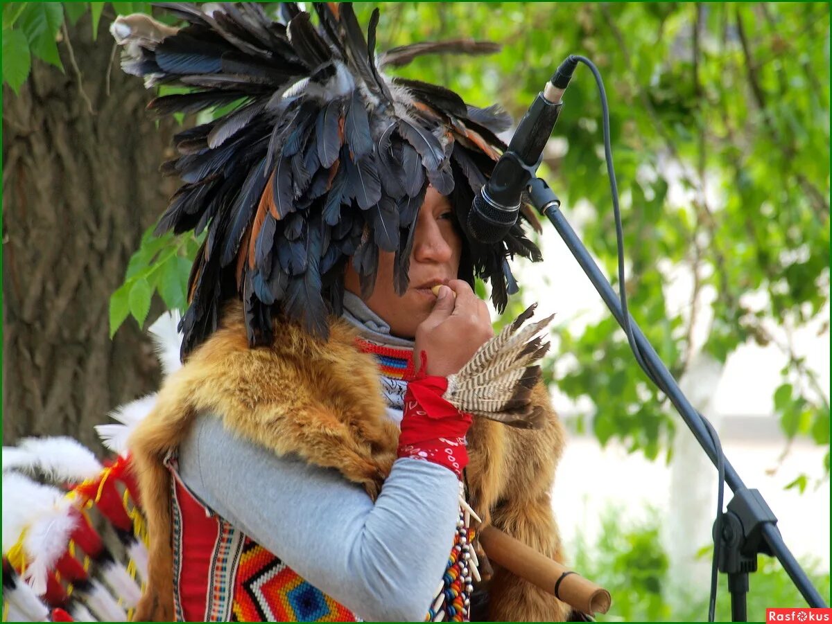 монтигомо ястребиный коготь в каком произведении