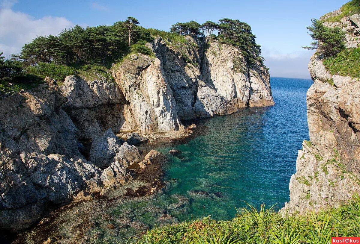 остров томящегося сердца приморский край бухта теляковского. дальневосточный морской заповедник приморье. морской заповедник владивосток. дальневосточный морской заповедник приморский край. дальневосточный морской заповедник северный район.