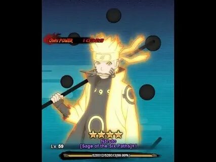 Six paths codes