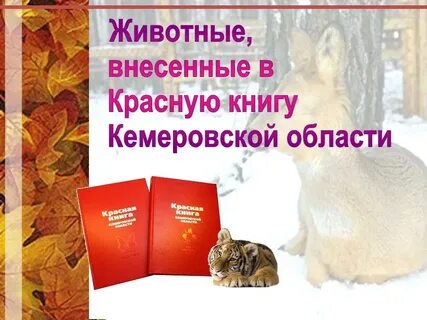 Животные красной книги кузбасса