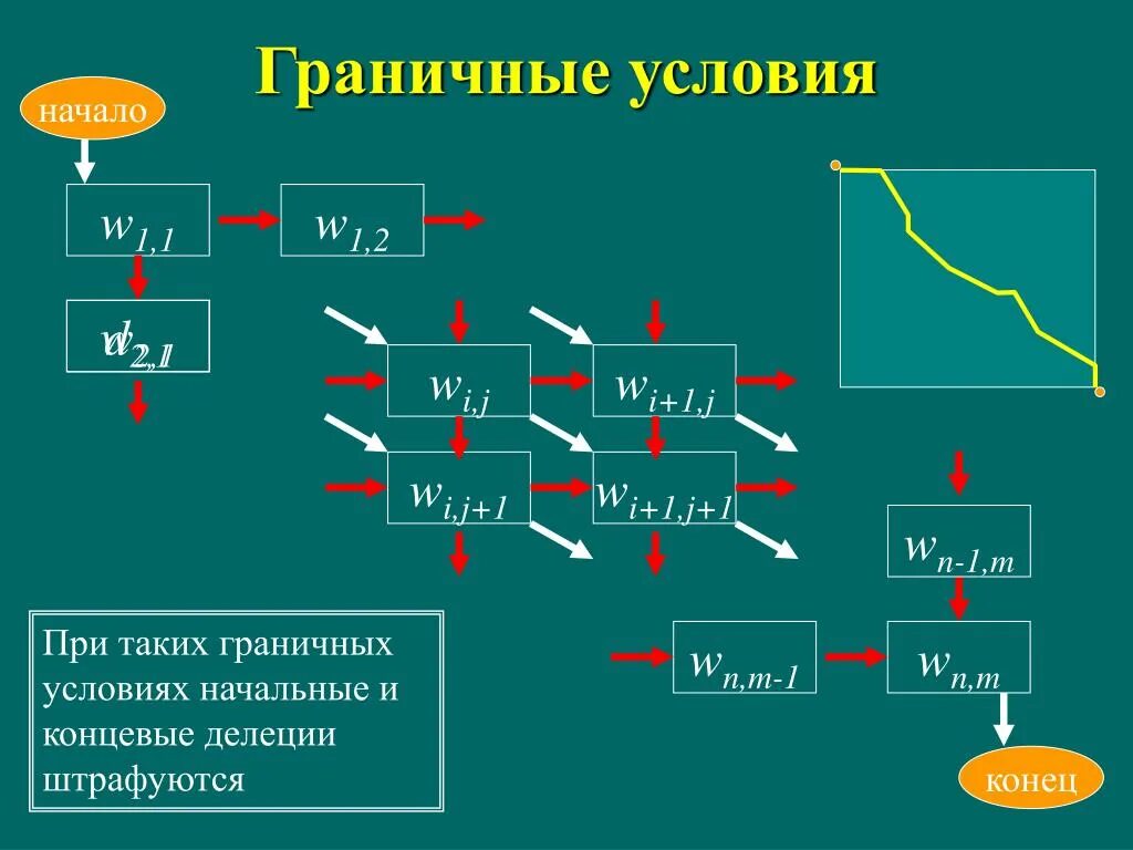 Граничные условия. Алгоритмы в биоинформатике. Начальные и граничные условия. Граничные условия второго рода.