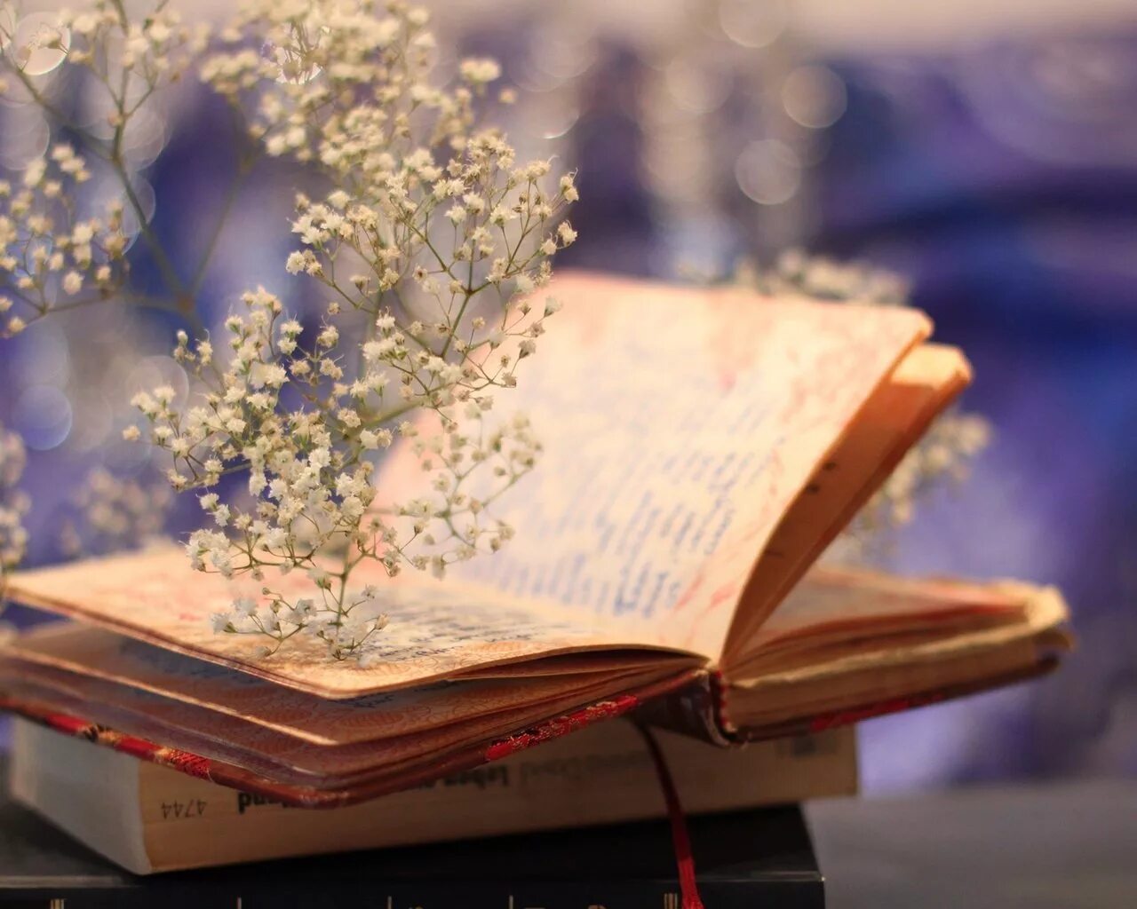 красивые книги. книга вдохновение. современная поэзия. настроение писать стихи. красивые книги.