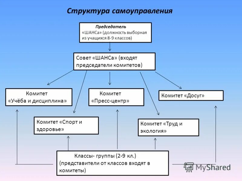 Организация мкоу