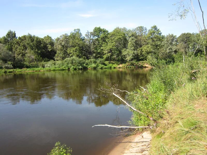 химкинский лес на карте. дубы вдоль клязьмы. поселок затишье река клязьма. квартал свистуха. река яхрома свистуха.