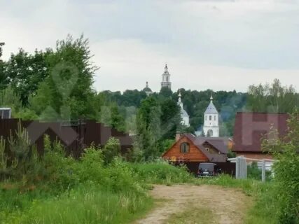 Верея раменского