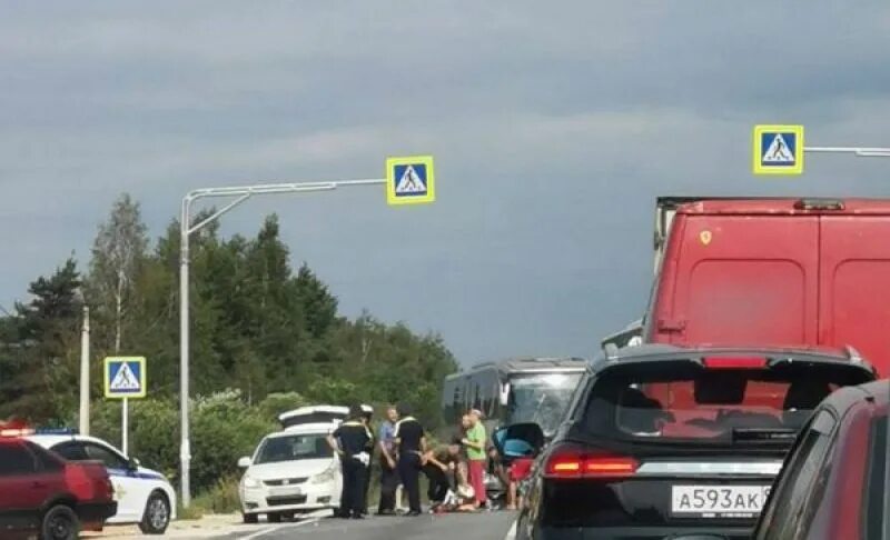 Алекс автолайф. Пешеходный переход.