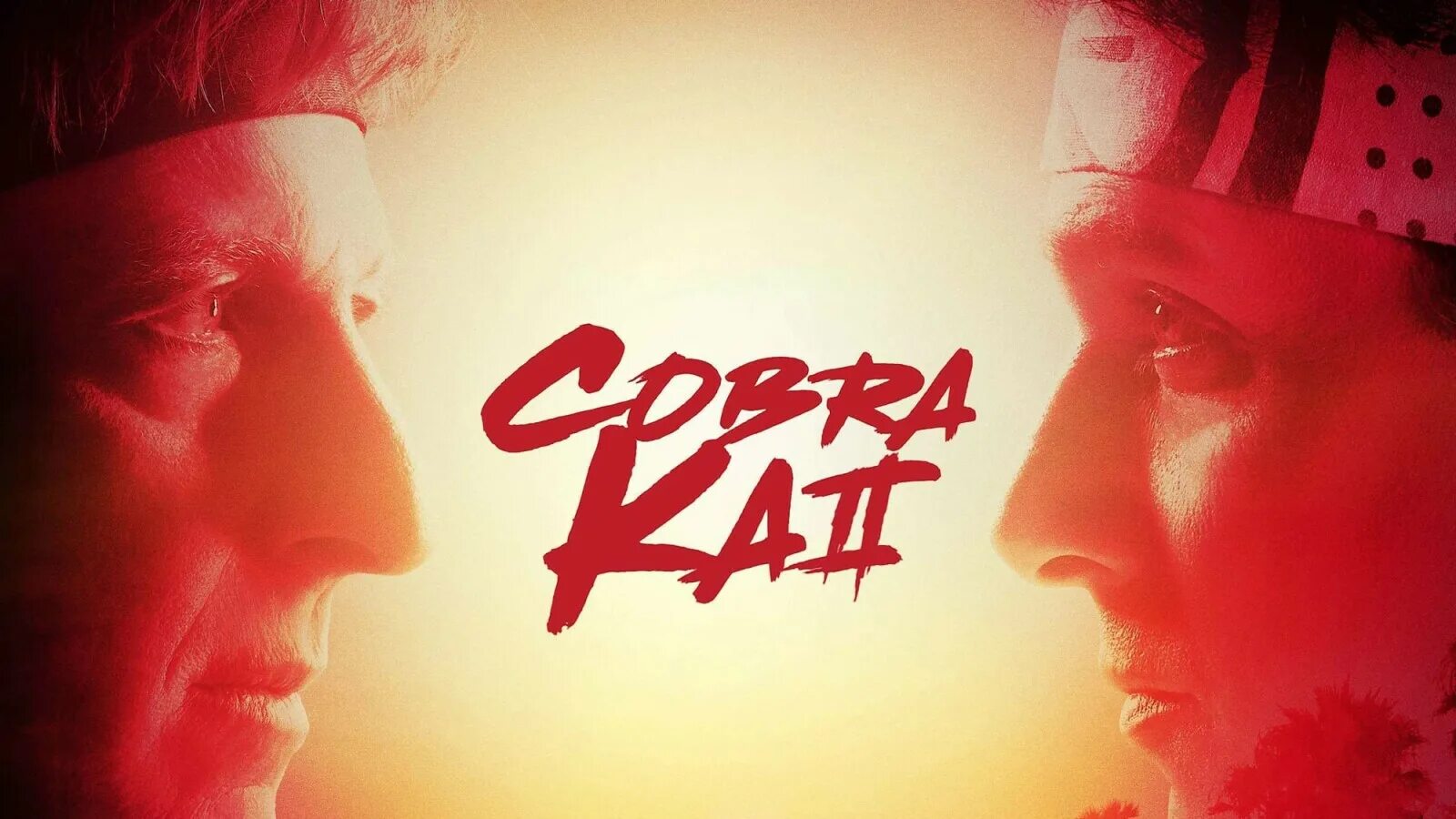 Cobra kai 1 1