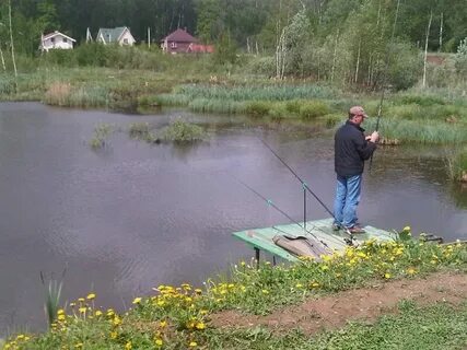 Вашутино платная рыбалка русфишинг