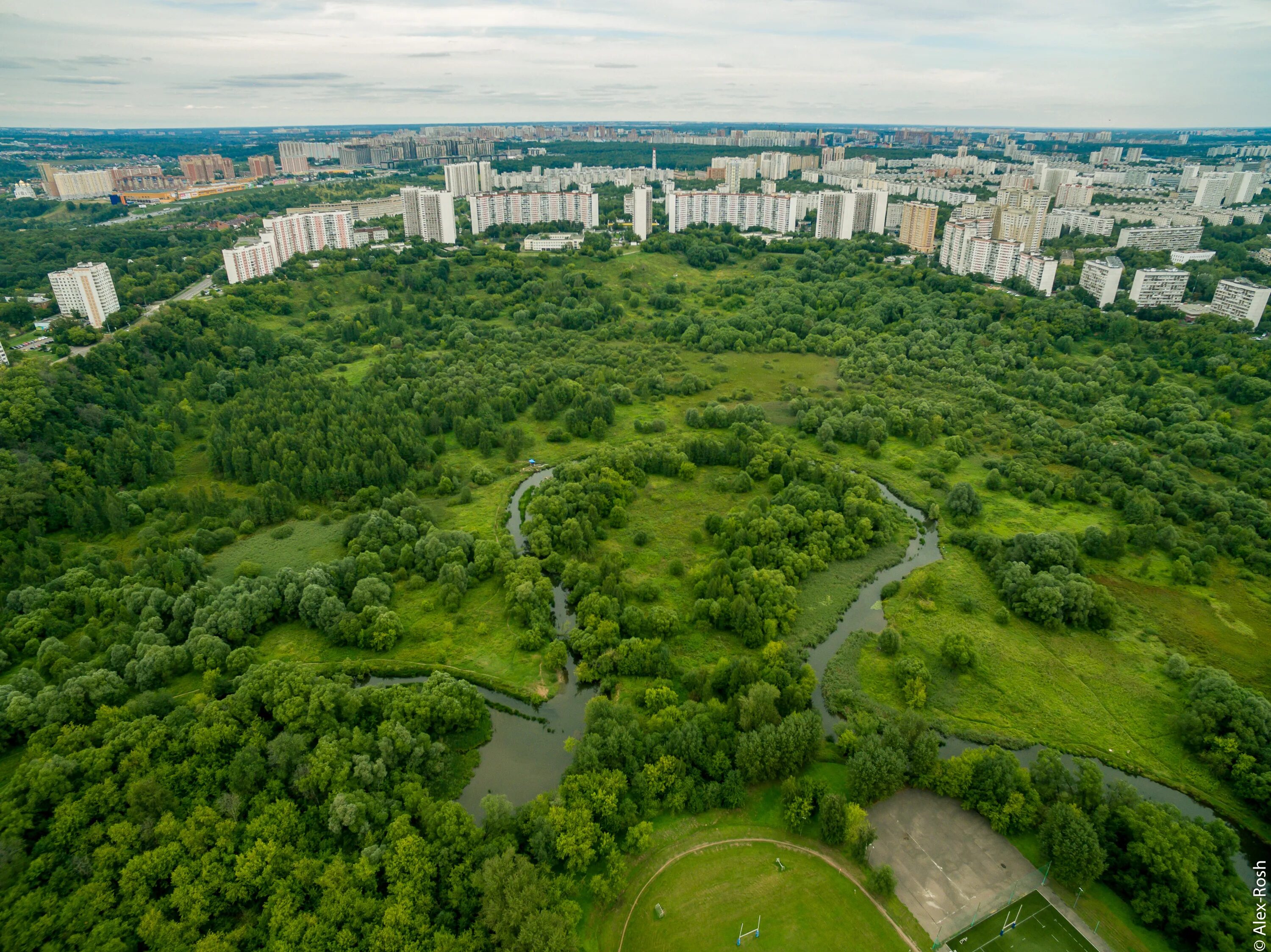 Зеленый московская область фото