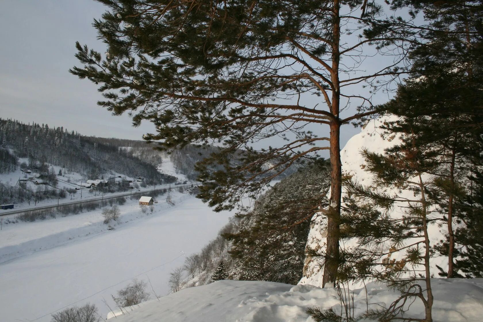 Кедры на сылве пермь