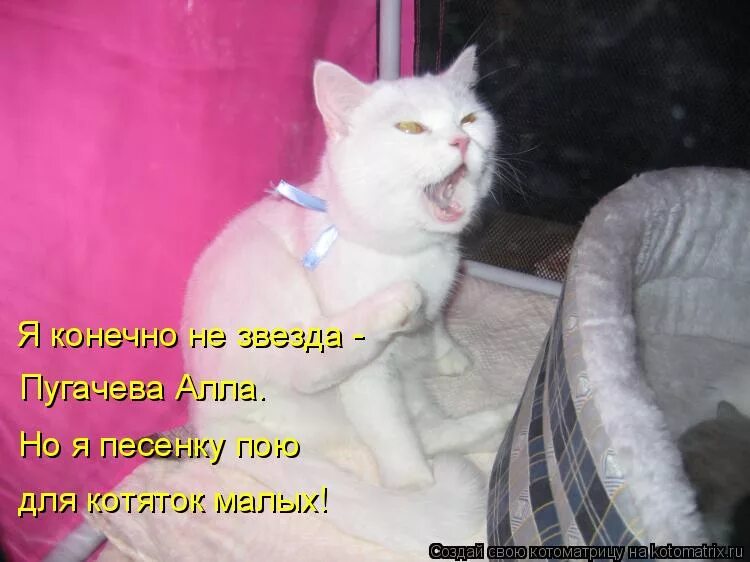 уильям шекспир стихи. наступить на горло собственной песне. наступаю на горло перекрыл тебе воздух. наступила ногой на горло. наступаю на горло перекрыл тебе воздух.