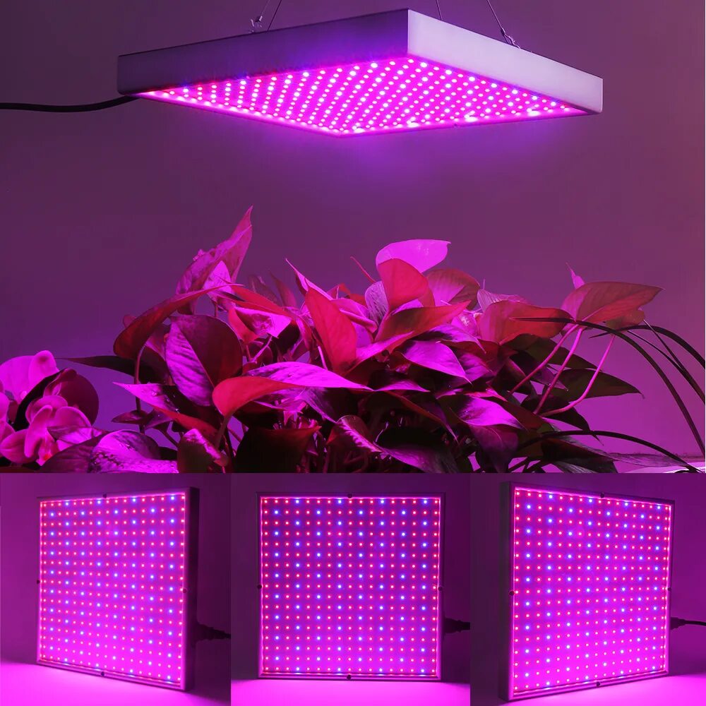 Led лампы для растений 600w. Фитолампа g23. Фитолампа для растений полного спектра 120вт. Фитолампа grow Light 40 Вт.