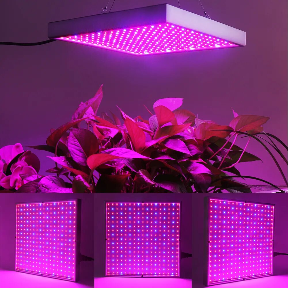 Фитолампа для растений какой цвет. Led лампы для растений 600w. led grow light 120w. фитолампа g23. led grow light 120w лампа e27.