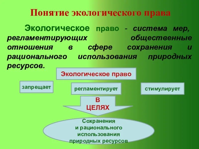 Общество в экологическом праве