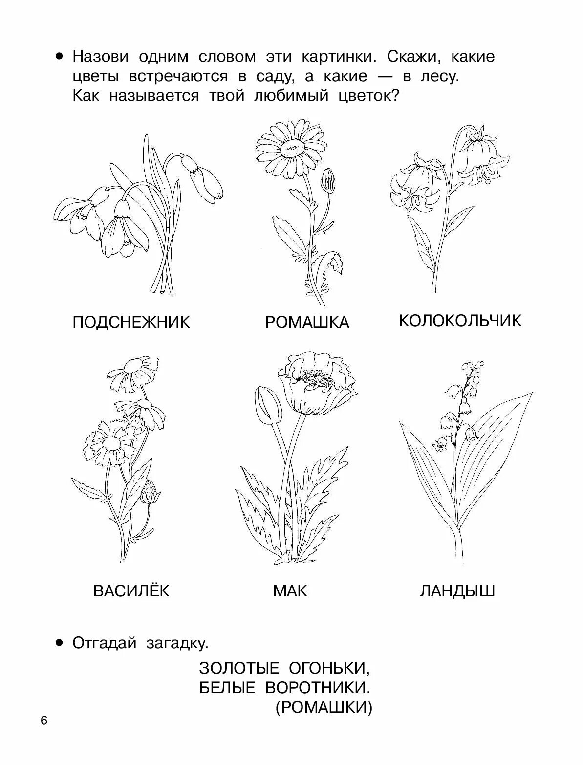 Травянистые растения задания для дошкольников. Растения задания для дошкольников. Цветы задание логопеда для дошкольников. Цветы логопедические задания для дошкольников. Лексическая тема цветы