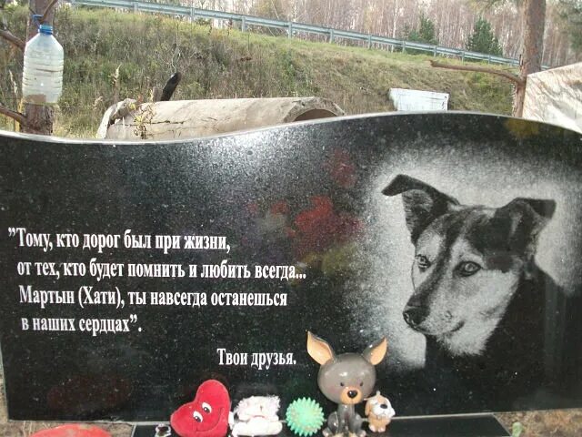 Где собака умерла. Надпись на памятнике собаке. Надпись на надгробие собаке. Трогательные надписи на памятниках собак. В память о собаке.