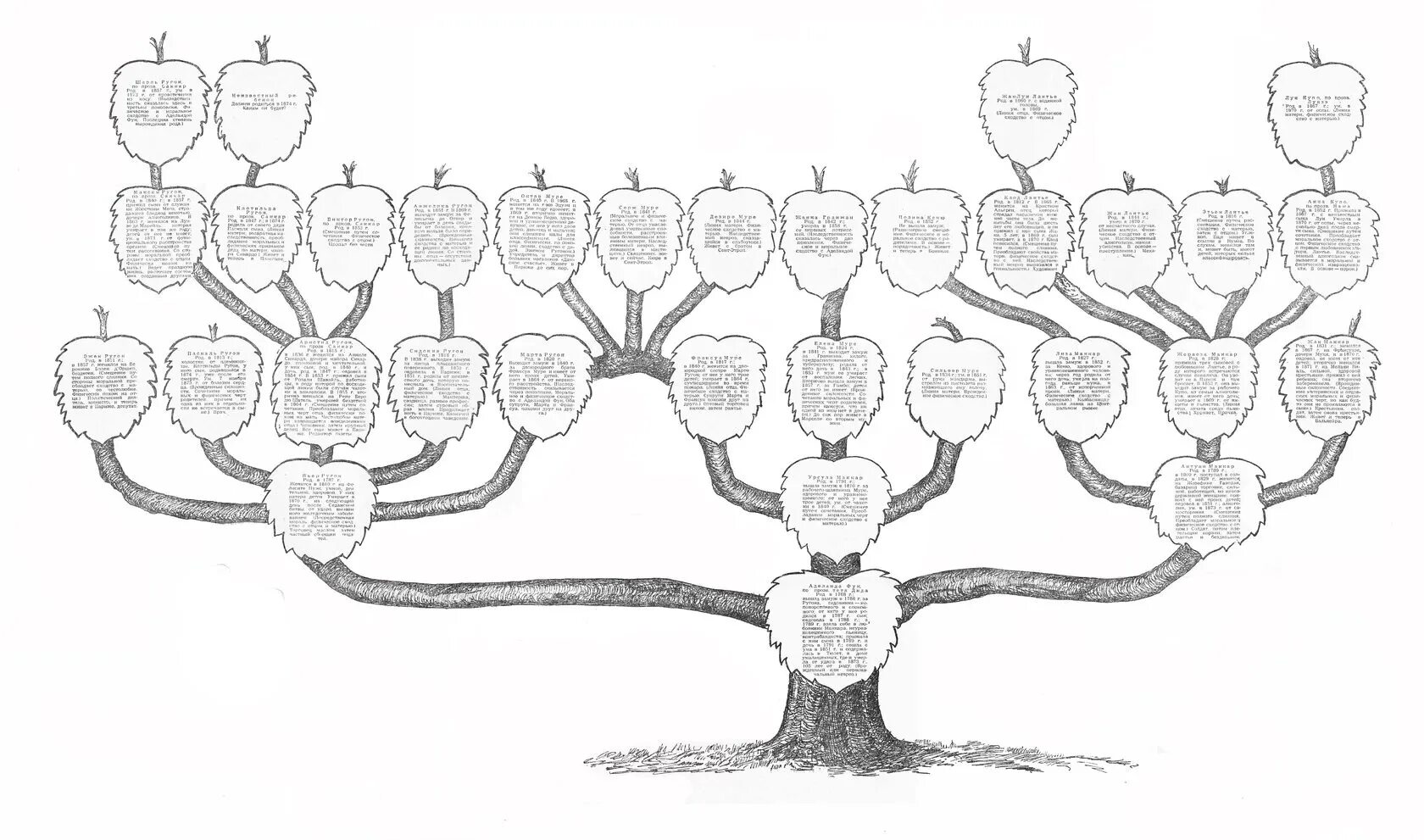 Родословная родословное древо история семьи 2 класс. Генеалогическое Древо Ругон-Маккаров. Ругон Маккары генеалогическое дерево. Семейное Древо Ругон Маккаров. Родословная генетическая дерево.