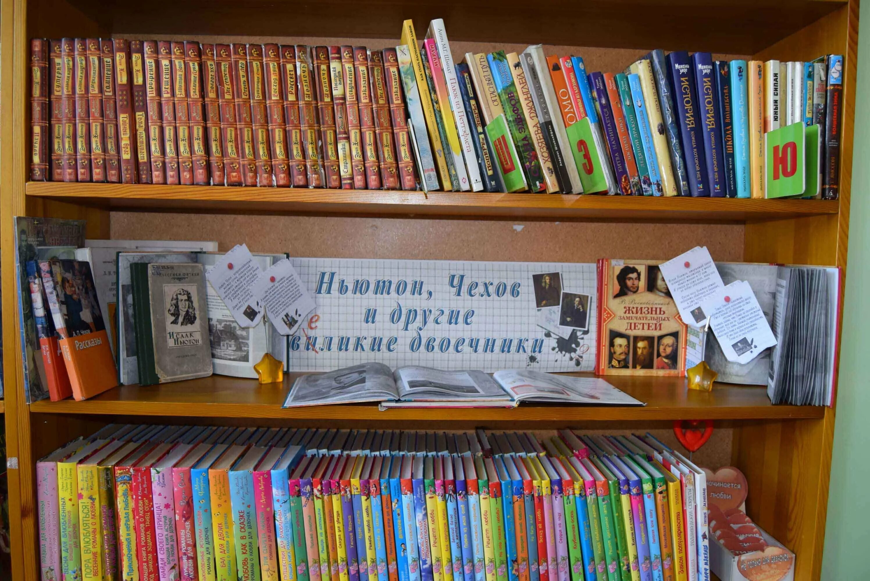 Тематические книжные полки в библиотеке. Полки в детской библиотеке. Украшение стеллажей в библиотеке. Стеллаж для книг. Полки для книг в интерьере.