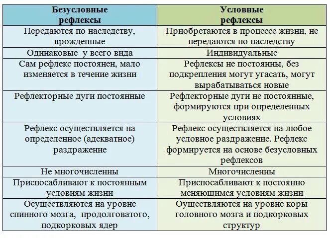 Отличия условных и безусловных рефлексов таблица. Отличие условных рефлексов от безусловных таблица. Отличия условных рефлексов от безусловных рефлексов таблица. Сравнить условные и безусловные рефлексы таблица