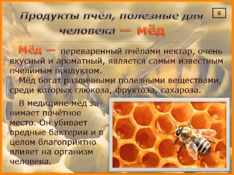 Пчеловодство интересное и полезное занятие текст