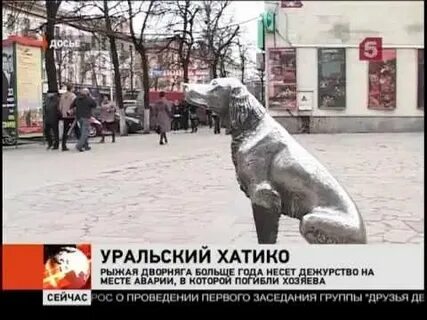 Сколько хатико ждал хозяина
