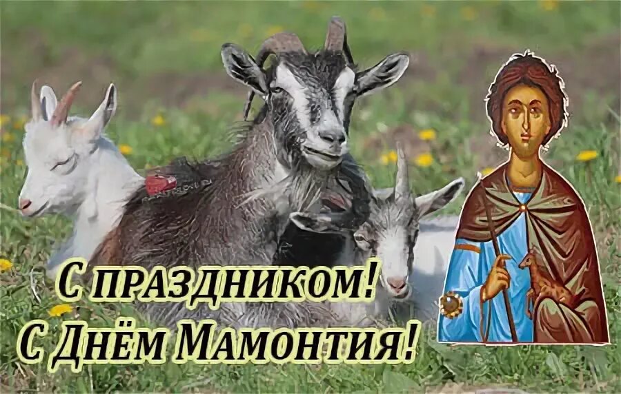 15 сентября день мамонтия овчарник. День мамонтия. 15 сентября праздник. 15 сентября народный календарь. День мамонтия 15 сентября.