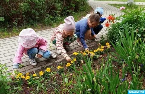 Детский сад работа летом