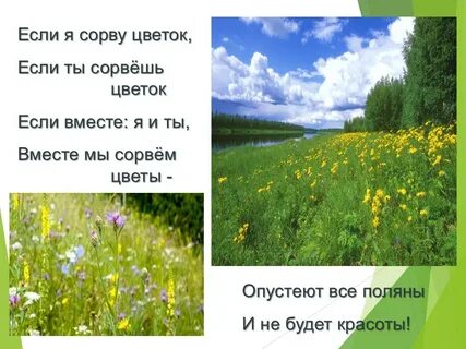 Если я сорву