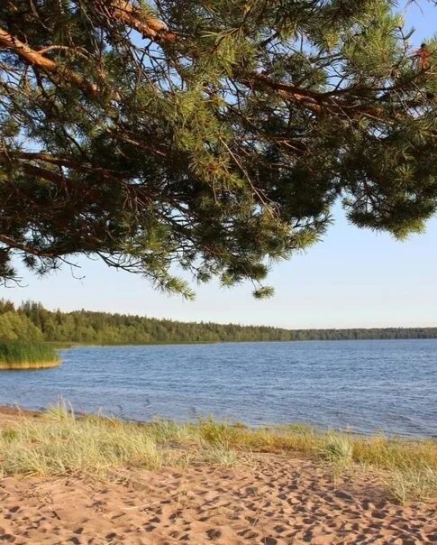 Сокольи озера (Ленинградская область) Пикабу