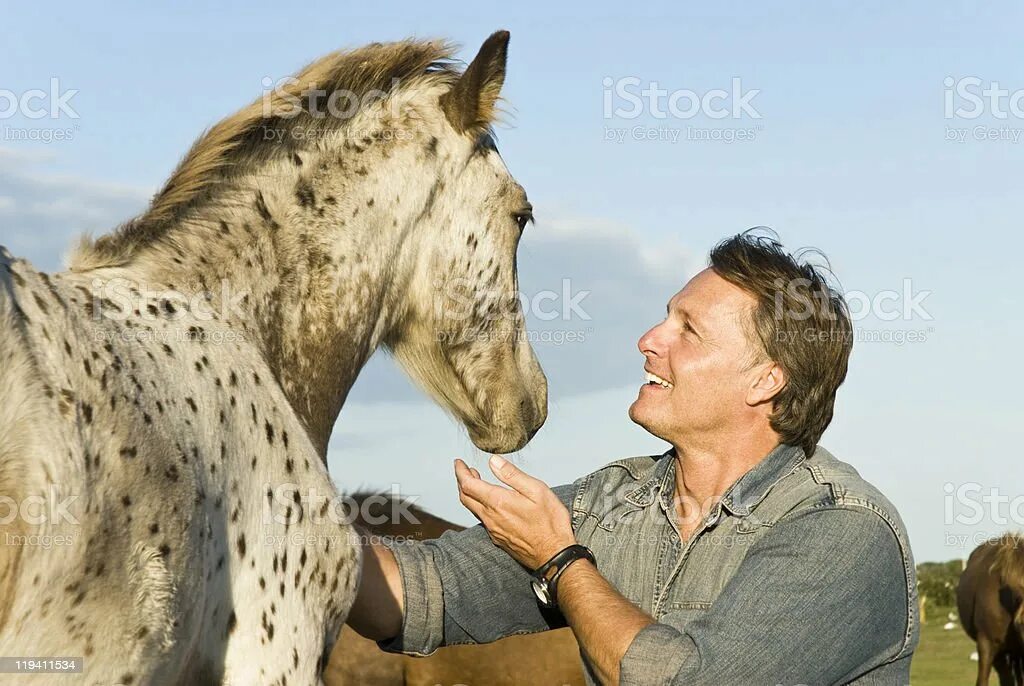 Petting men. Человек стоит и гладит лошадь. Petting a Horse. Что делает ласка с лошадьми фото.