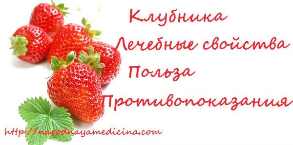 Польза клубники для женщин после 60. Польза клубники. Польза клубники для женщин после 60. Что полезного в клубнике. Что полезного в клубнике.