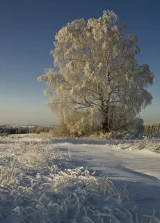Декабр