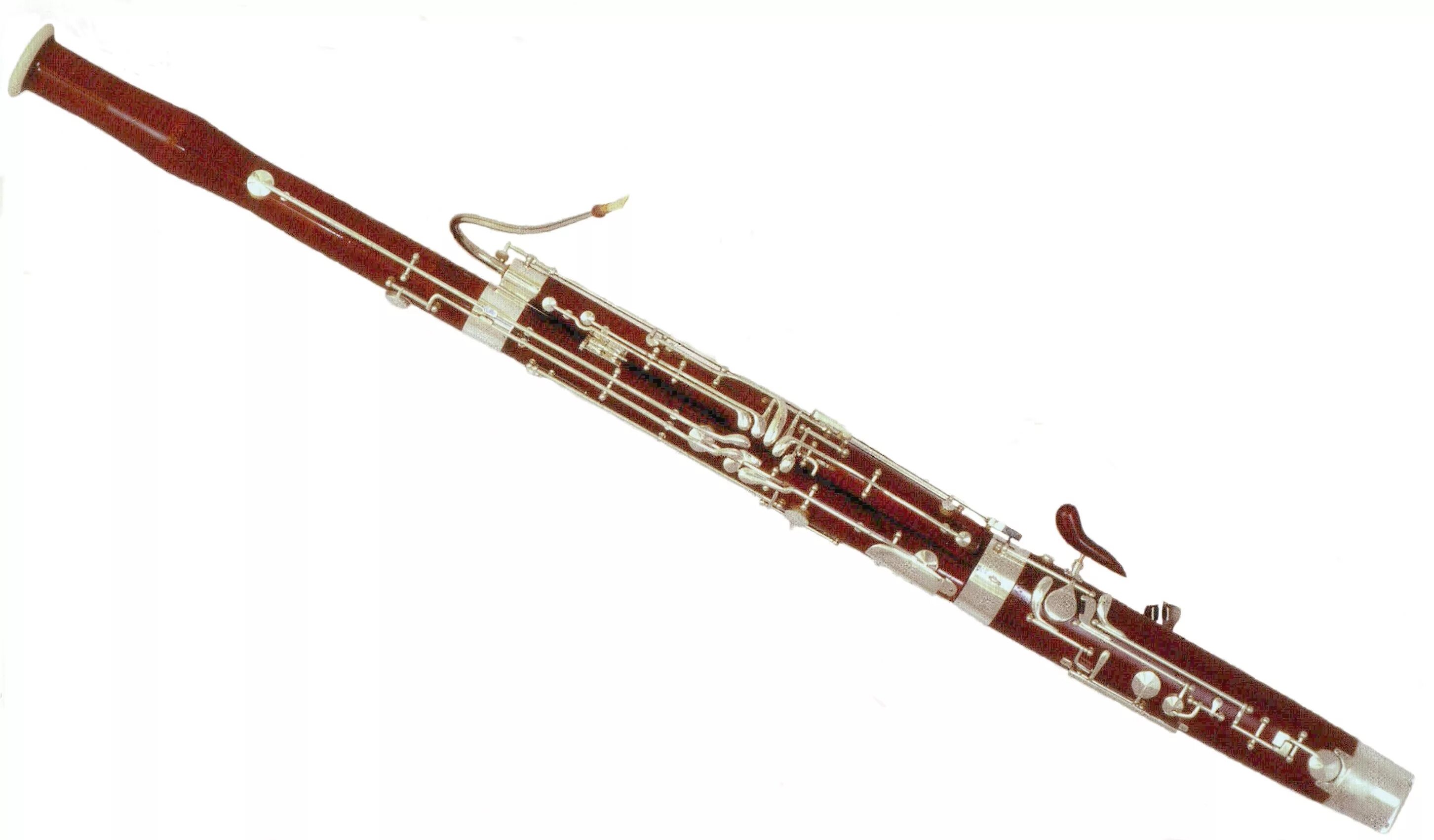 Муз инструмент фагот. Контрафагот деревянный духовой музыкальный инструмент. Фаггот. Фаггот. Фогоде музыкальный инструмент фагот.