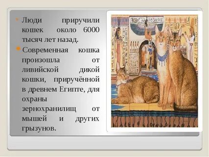 Изложение кошка была приручена в древнем египте
