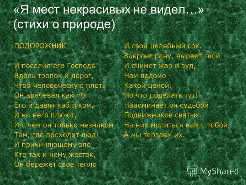 Стихотворение о природе 7 класс. Стихи о природе. Стихи о природе короткие. Большой стих про природу. Стихи о природе 3 класс.