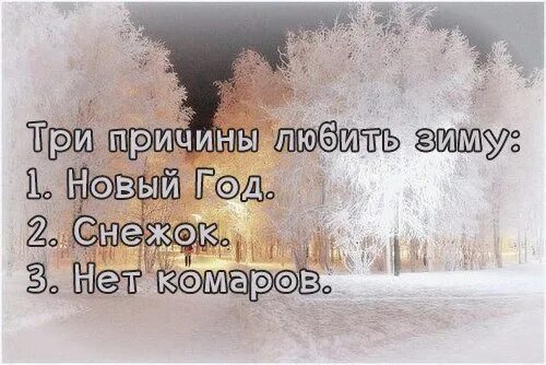 Я люблю зиму. За что вы любите зиму. Почему люблю зиму. За что любить зиму. Чем понравилась зима