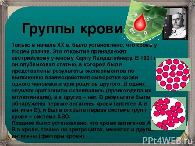 Ученые открывшие группы крови. Открытие групп крови. Открытие групп крови кратко. Группы крови открытие 20 века. Группа крови история