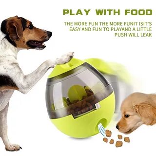 Pet items