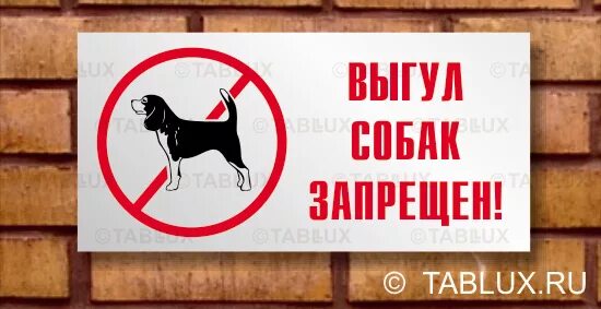 Vox выгул собак. Табличка о запрете выгула собак.