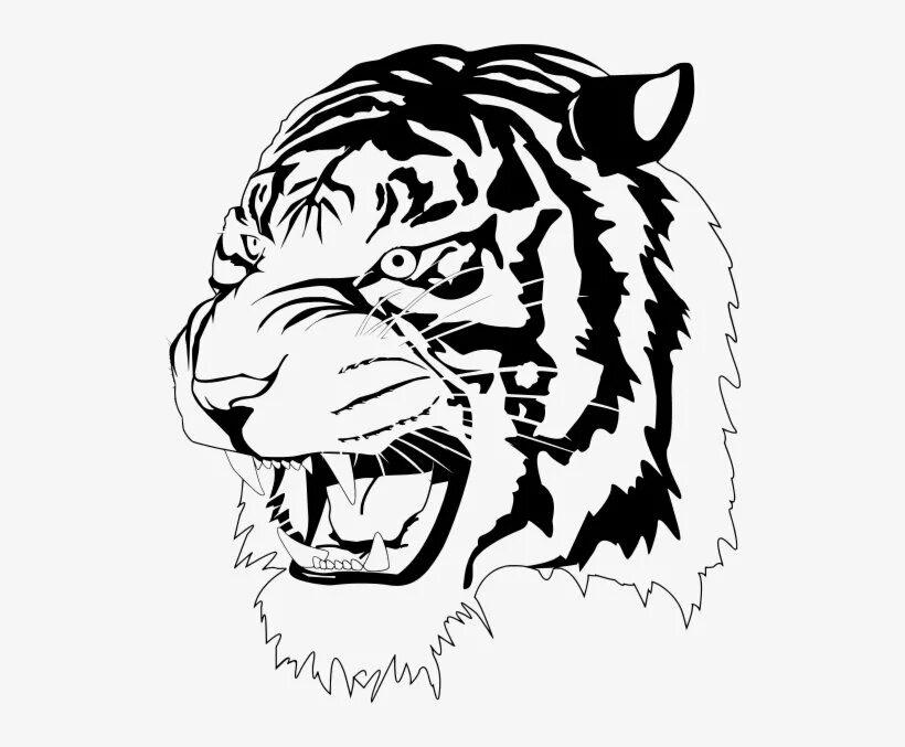Drawing bitmap