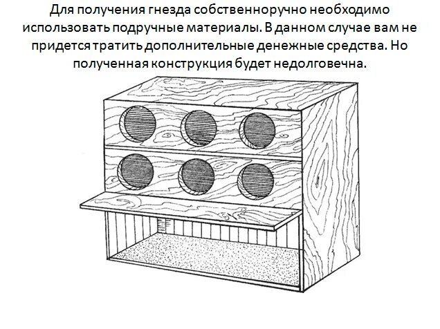 Чертежи яйцесборника для кур несушек своими руками. Гнездо для кур несушек с яйцесборником схема. Гнёзда для кур несушек с яйцесборником чертежи. Гнездо для кур с яйцесборником своими руками чертежи. Размер гнезда для кур несушек.